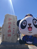 安逸号 Cr 四川中青旅小猫