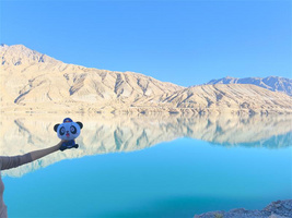 安逸号 Cr 四川中青旅小猫