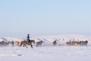 呼伦贝尔号 目的地景点 海拉尔