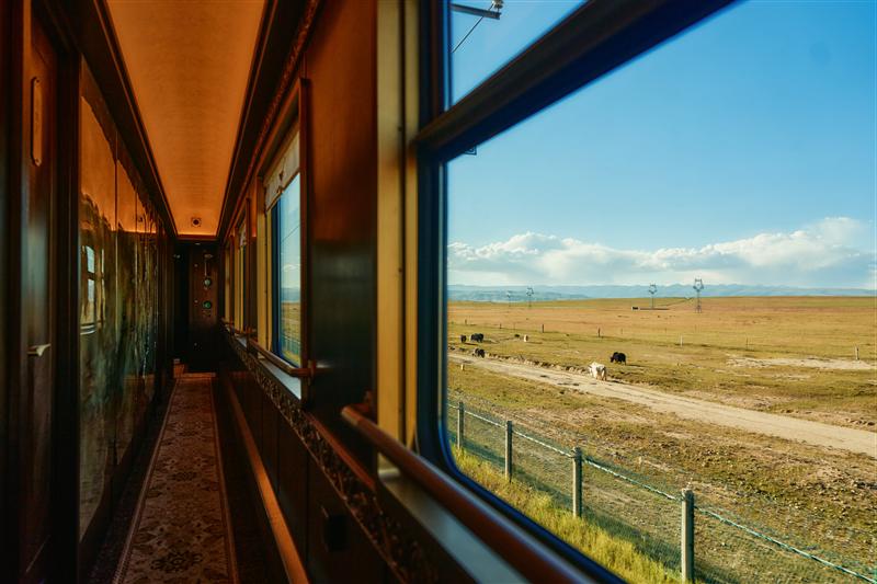 丝路梦享号列车