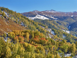 星光澜湄号 星光号资料 新疆景区素材照片 新疆考察素材 景区提供素材 禾木 景区提供