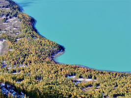 星光澜湄号 星光号资料 新疆景区素材照片 新疆考察素材 景区提供素材 喀纳斯 景区提供