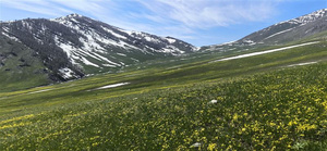 星光澜湄号 星光号资料 新疆景区素材照片 新疆考察素材 景区提供素材 那拉提