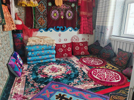 星光澜湄号 星光号资料 新疆景区素材照片 阿勒泰 冲乎尔哈萨克家访