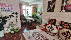 星光澜湄号 星光号资料 新疆景区素材照片 阿勒泰 冲乎尔哈萨克家访