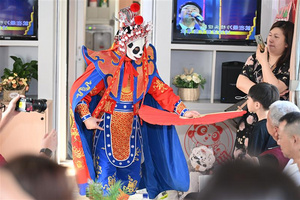 熊猫专列安逸号 主题活动 安逸号