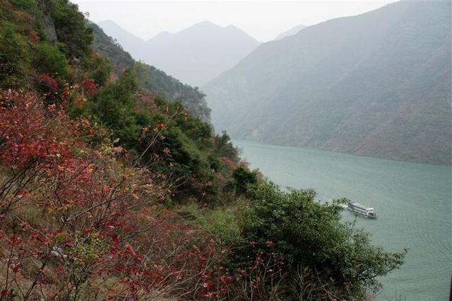 中国 长江三峡 神女峰 冬天 三峡红叶