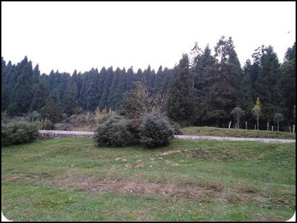 中国 重庆 武隆仙女山 秋天 刘华