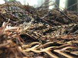 重庆周边新晋一批4A景区，去了才知道这么美！