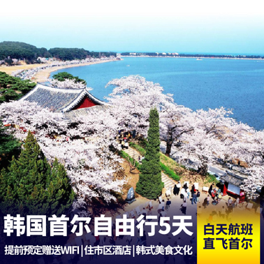 韩国首尔自由行5天 街头偶遇韩剧欧巴和欧尼 深度感受韩式美食文化