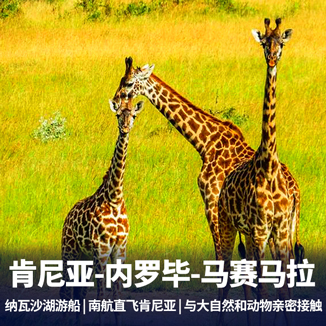 肯尼亚亲亲动物10日游