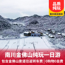 【纯玩】金佛山西坡滑雪一日游