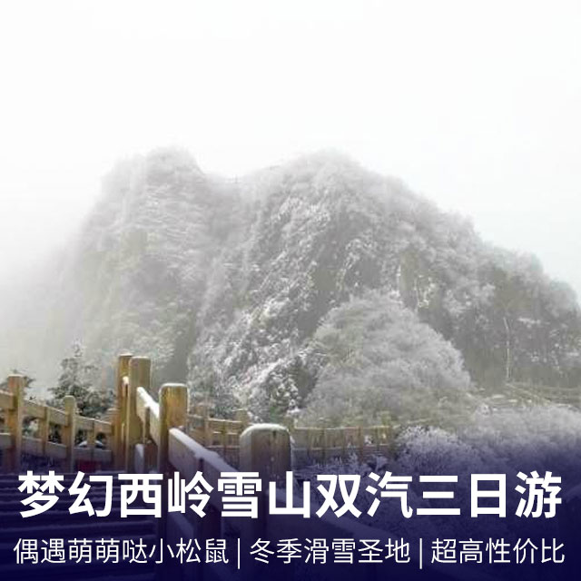 西岭雪山汽车三日游 偶遇萌萌哒小松鼠