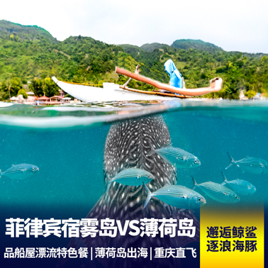 呆萌眼镜猴！菲律宾宿雾6天 住海边酒店 蜜月旅行 自由时间嗨到爆！