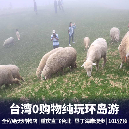 台湾纯玩8日游 亲子游精致小团 无购物纯玩