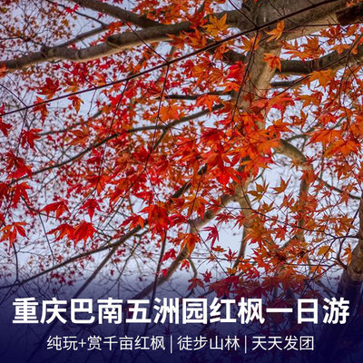 五洲园旅游:重庆巴南五洲园赏四季红枫一日游