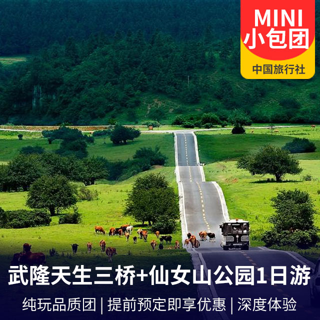 【mini超级小包团】武隆天生三桥+仙女山国家森林公园一日游