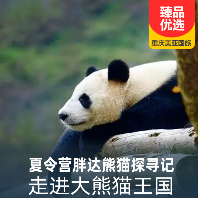 夏令营胖达熊猫探寻记