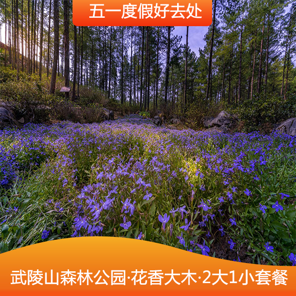【酒景套餐】武陵山森林公园、大木林下花园自驾游自由行2大1小套餐