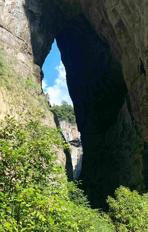 武隆仙女山、天生三桥纯玩一日游在南国第一牧场漫步，看三硚夹两坑的奇观