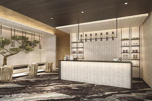 Yangzi Explorer Cruise-Ning Spa