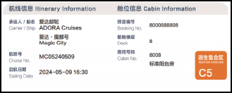 爱达邮轮船票样式