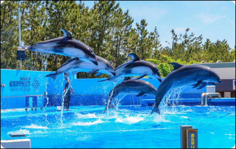 新潟水族馆.png