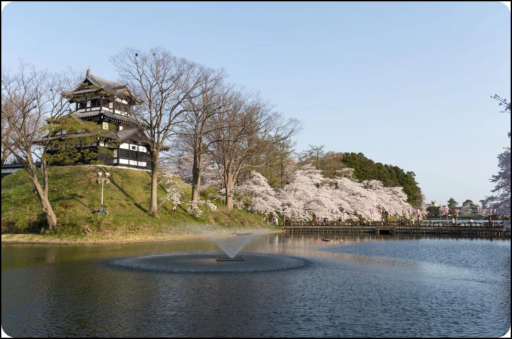 新潟白山公园.png