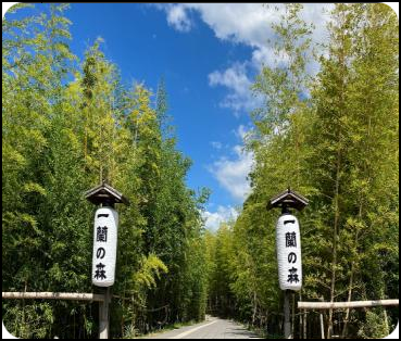 福冈一兰之森见学