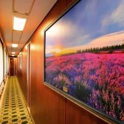 【新东方快车】深度南北疆14日游