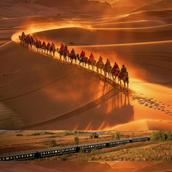 【丝路梦享号】2026繁华伊始I西宁-格尔木-敦煌5天4晚