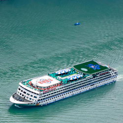 三峽黃金黃金3號  