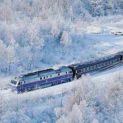 【林都号】冬季·黑吉跨省9日游